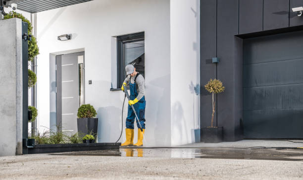 Best Roof Cleaning and Mildew Removal in Edna, TX